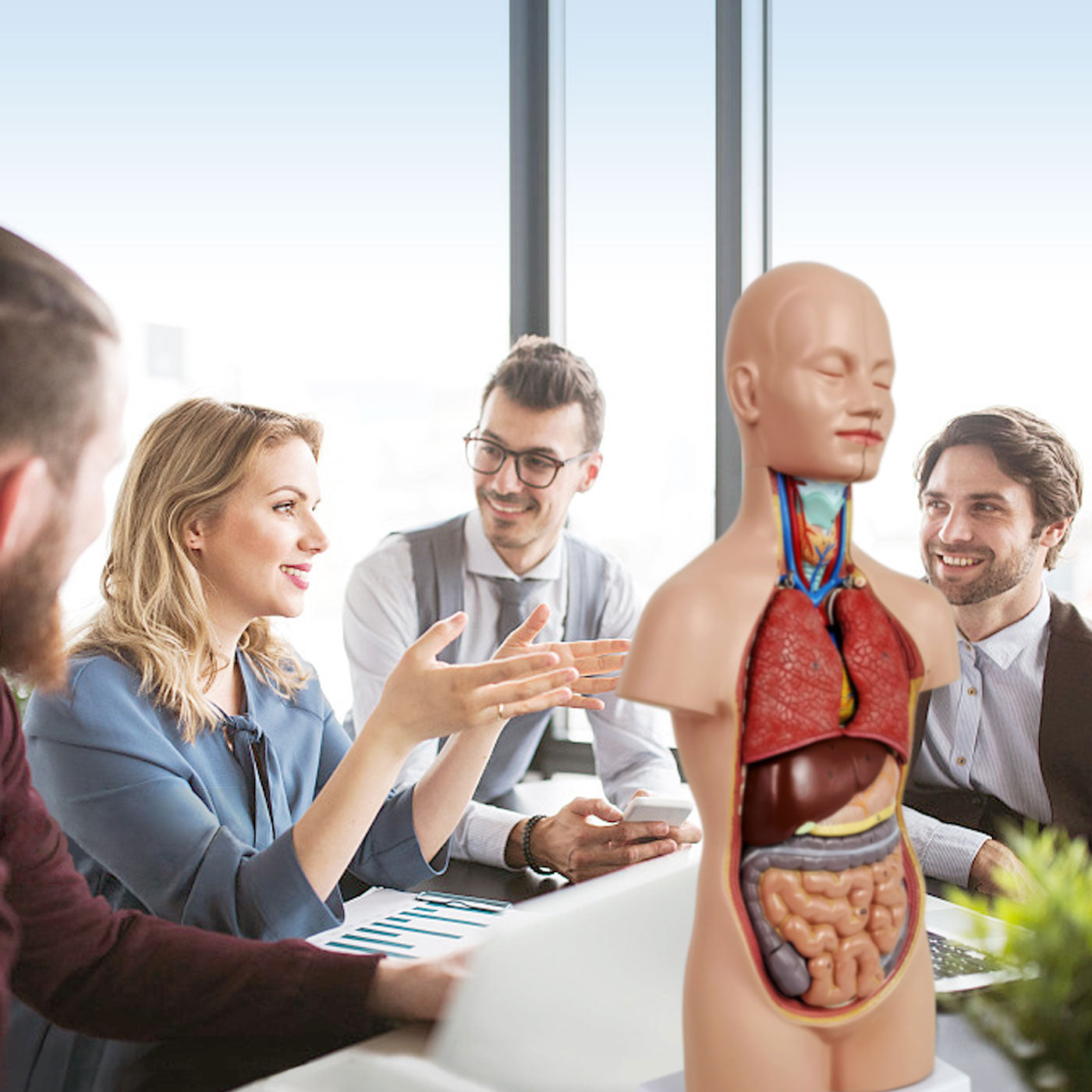 Anatomical models Agency Cooperation Evotech Scientific