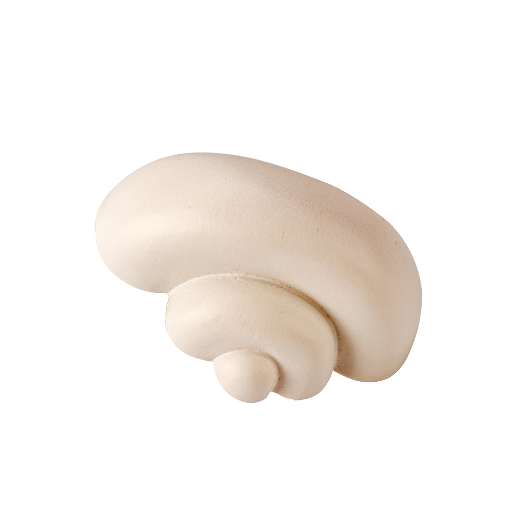 Evotech Scientific Inner Ear Model 2 Part 8X for Medical Study Display Teaching