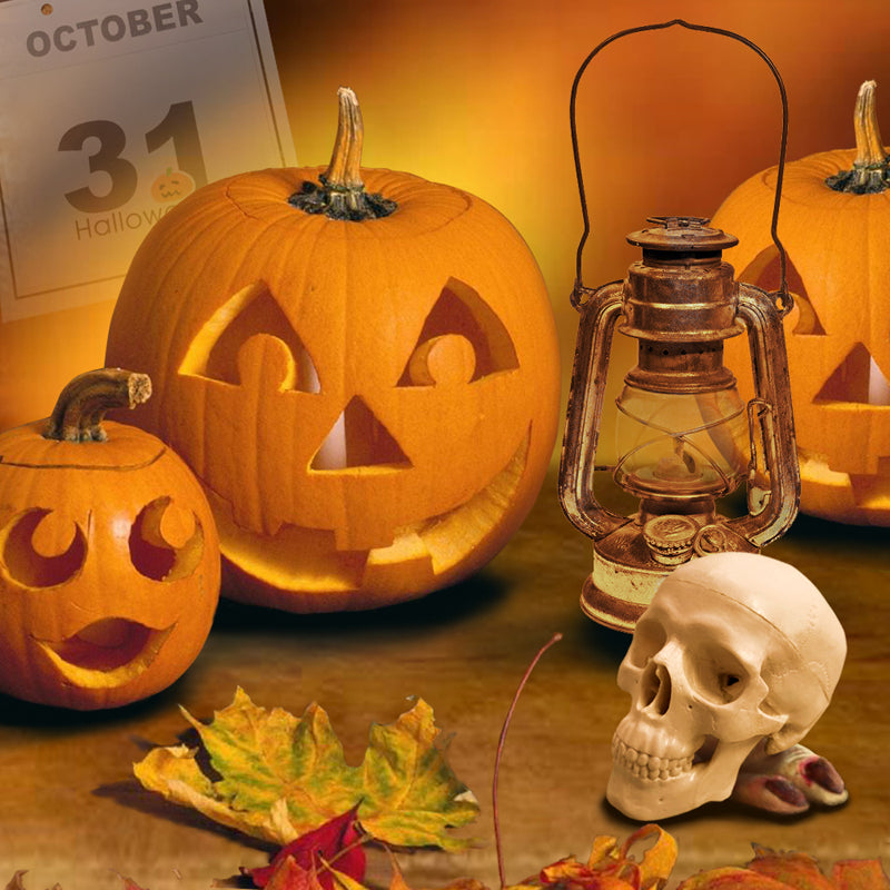 Palm-Sized Mini Human Skull Model, 3-Part (Skullcap, Base of Skull, Mandible)